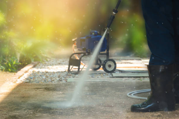 Animal Enclosure Cleaning in Lexington, KY